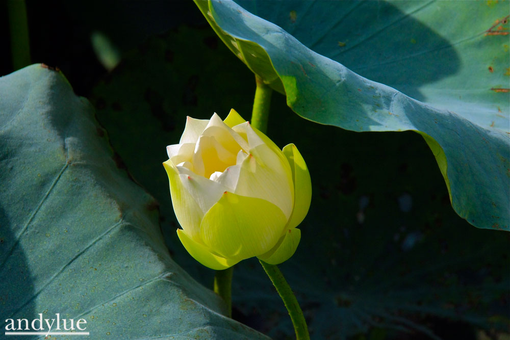 http://i.dcview.tw/gallery/201006/8368029c63b3bc6be0e48bdf17a7b4d0.jpg