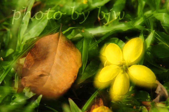 http://i.dcview.tw/gallery/201006/883e777fb63baaa081dd67543d917550.jpg