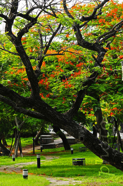 http://i.dcview.tw/gallery/201006/8de61ea39c45c829527cb09f94673a68.jpg