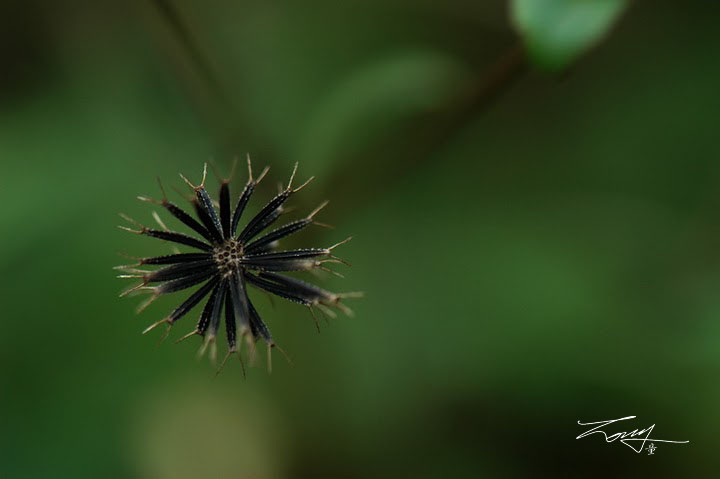 http://i.dcview.tw/gallery/201006/9998fd23b1d4ad63fc3cd31c41fdccb3.jpg