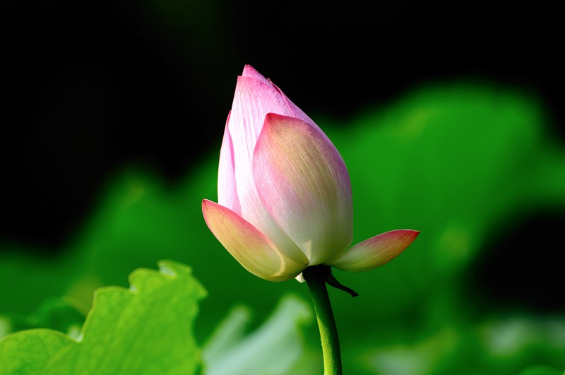 http://i.dcview.tw/gallery/201006/9fc58e55e15ff4d7c52aabe6c68c560a.jpg