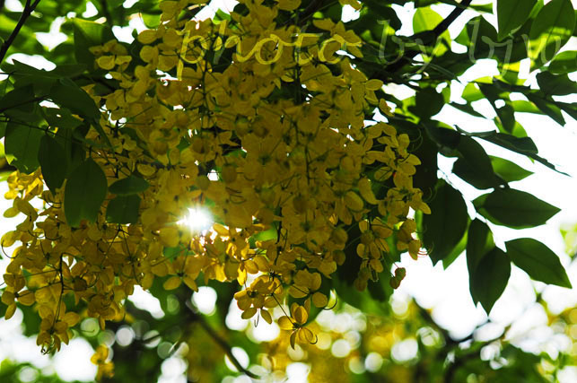 http://i.dcview.tw/gallery/201006/a39c2625a7f91a5e34a78175923b51d5.jpg