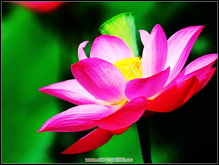 http://i.dcview.tw/gallery/201006/ae541c325dd003417fec93ba7b9a5053.jpg