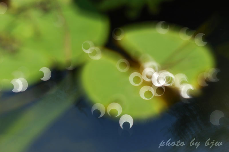 http://i.dcview.tw/gallery/201006/b4d8c8cd142b48ea0b014285e82dba09.jpg