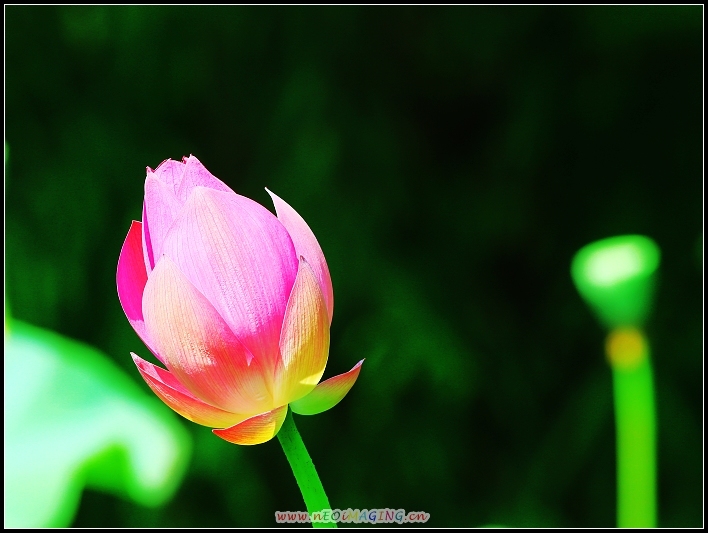 http://i.dcview.tw/gallery/201006/b5d681a9757555d6b983d7c0ee14ae77.jpg