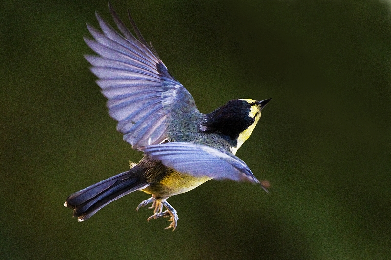 http://i.dcview.tw/gallery/201006/b98bdbf0f9e0507ef973e88744e2c0e4.jpg