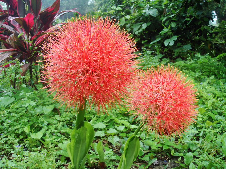 http://i.dcview.tw/gallery/201006/c366e111d628ecf8c6012ad14879f945.jpg
