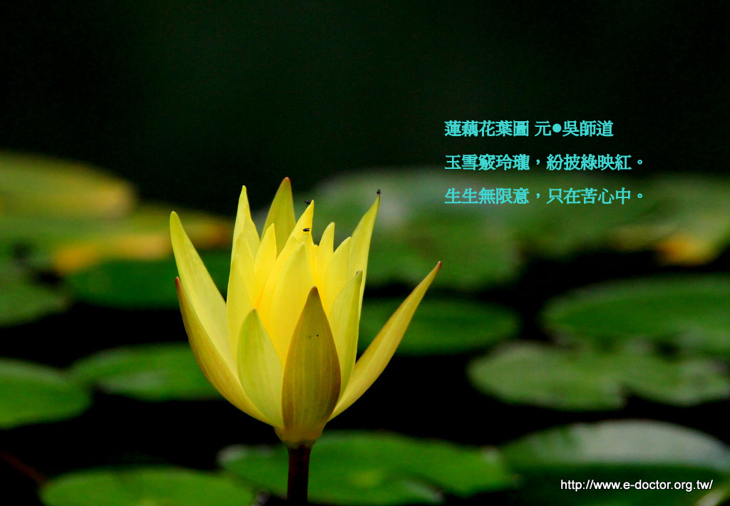 http://i.dcview.tw/gallery/201006/c467c076b101656613034bdbd0ec29f5.jpg