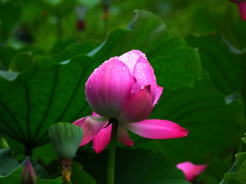 http://i.dcview.tw/gallery/201006/c97395c4503849fca27281a10d56dc3d.jpg