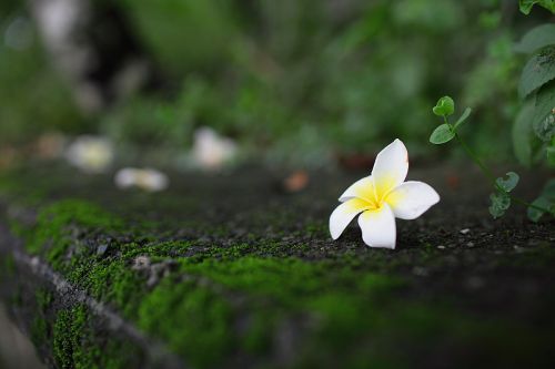 http://i.dcview.tw/gallery/201006/ca4d7008a85a475d7608e2cad0ae2e62.jpg