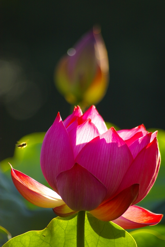 http://i.dcview.tw/gallery/201006/d498e192eba8a7733e6f5fdcabd7ebc3.jpg