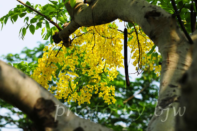 http://i.dcview.tw/gallery/201006/d5929d3825e32daeef634b65c17b926a.jpg