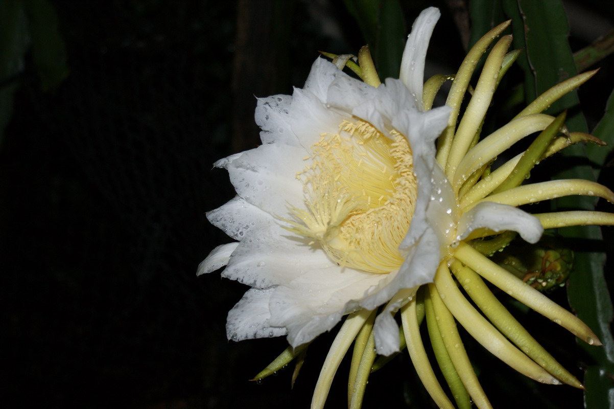 http://i.dcview.tw/gallery/201006/d7f02133d30360c21c92bfb00795990b.jpg