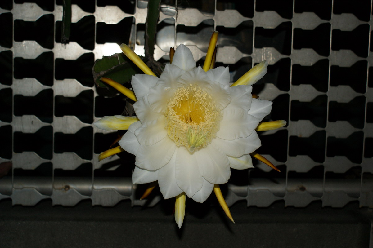 http://i.dcview.tw/gallery/201006/dc491993929b5fbaec8eade3e4d61cd5.jpg