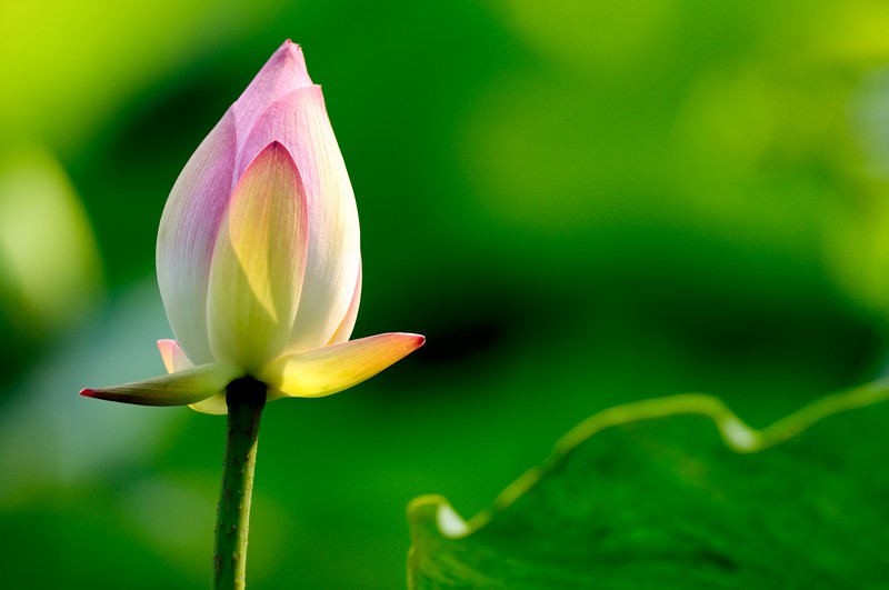 http://i.dcview.tw/gallery/201006/def50a96e0d9466b55a0baf7be8293c6.jpg