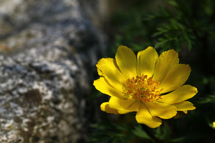 http://i.dcview.tw/gallery/201006/e8f14d58e1a4a0acb04e7c360582830e.jpg
