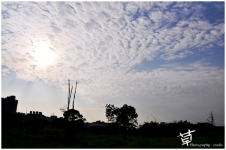 http://i.dcview.tw/gallery/201006/ebb540fb2f930af6afbeda5b5073ae19.jpg