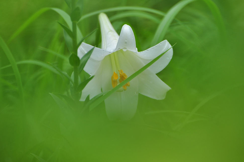 http://i.dcview.tw/gallery/201006/f25a34de381af0724d5dfa56b12940f0.jpg