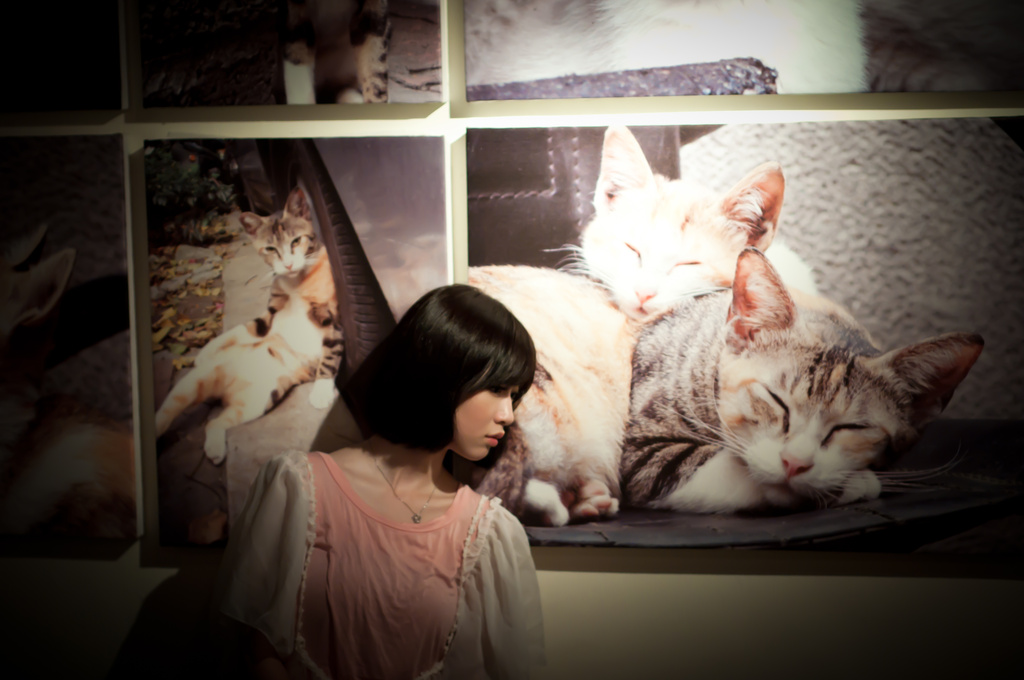 http://i.dcview.tw/gallery/201006/f2810ab6c115ac72c55b8cb6a9db622c.jpg