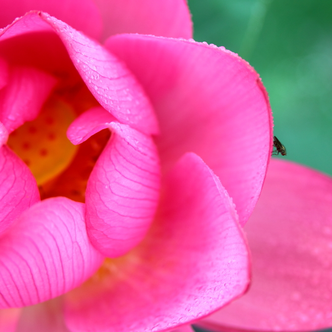 http://i.dcview.tw/gallery/201006/f512461531ac000f47fd49e8cb3a06ed.jpg