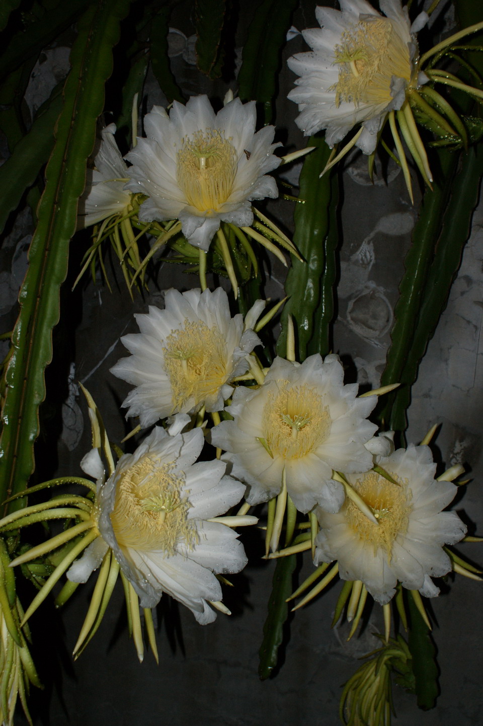 http://i.dcview.tw/gallery/201006/f6bcf596f9274408ba17628762c07fc8.jpg