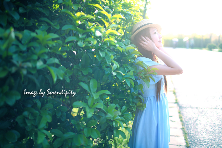http://i.dcview.tw/gallery/201006/fd1900380400e17c453c213e9260b320.jpg