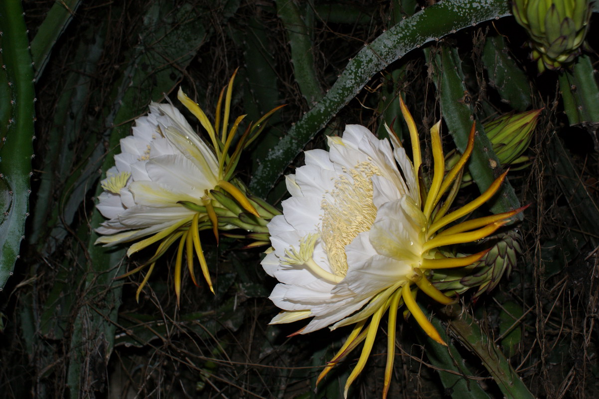 http://i.dcview.tw/gallery/201006/fdc2ff749137745acd3dffccefc78991.jpg