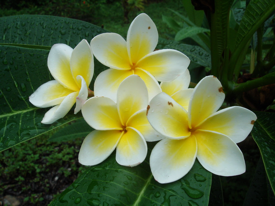http://i.dcview.tw/gallery/201006/fe43a8e3b38c694ce8d3eca40caab3fb.jpg