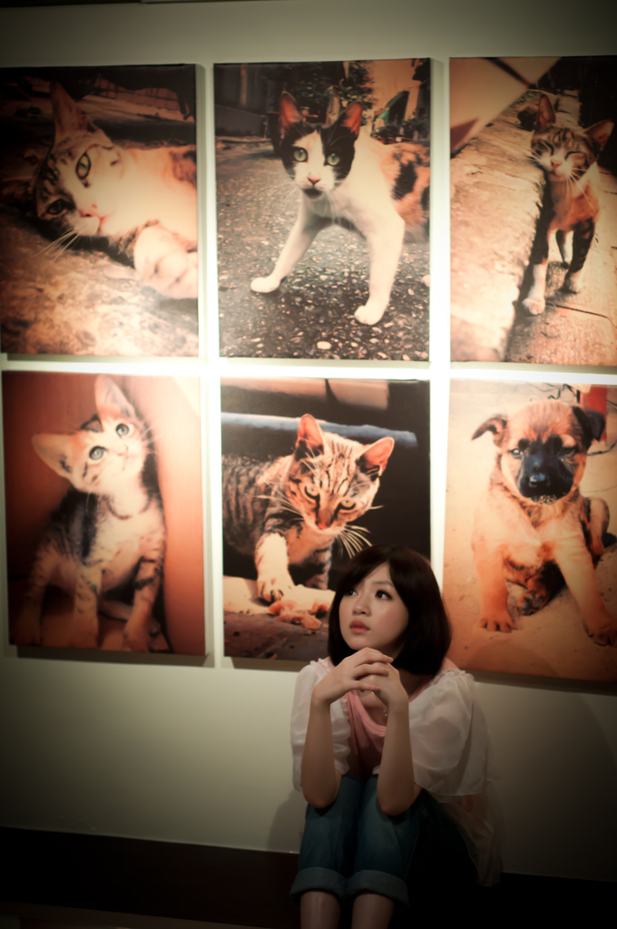 http://i.dcview.tw/gallery/201006/fe6c3b256dd9d4450871d149ece14f19.jpg