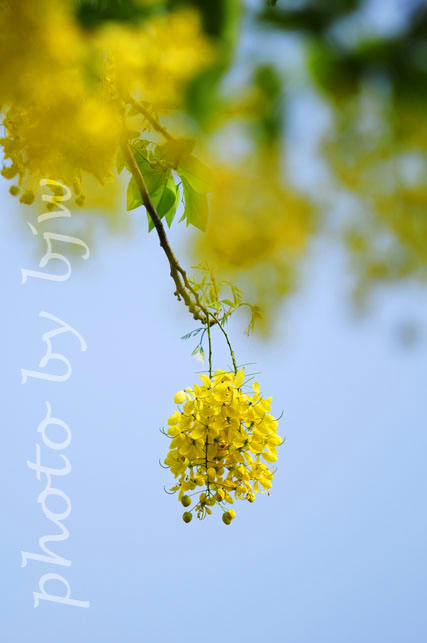http://i.dcview.tw/gallery/201006/fe6d2d6f26b2443d4ca5befd499a5e73.jpg
