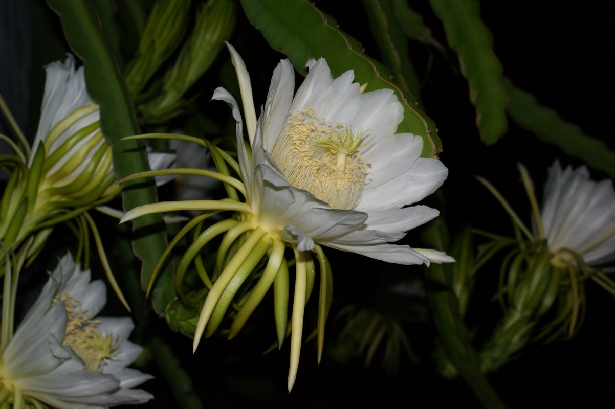 http://i.dcview.tw/gallery/201006/ff7a268e0b9d5bd4e3ecbb741ff842f2.jpg
