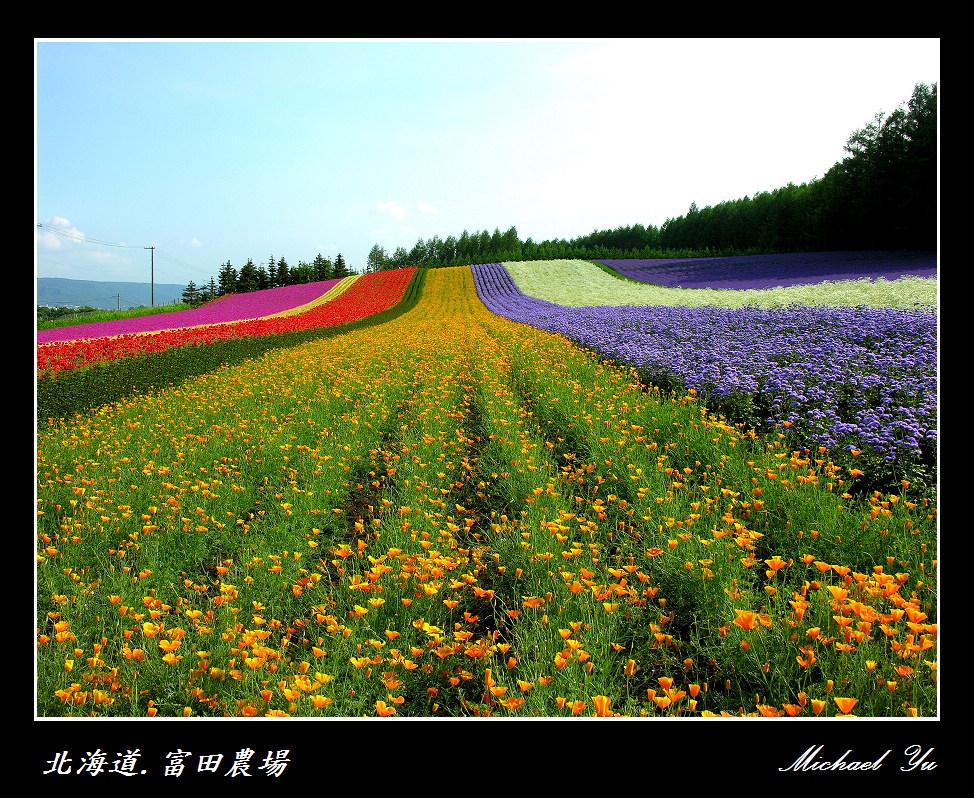 http://i.dcview.tw/gallery/201007/01b1de97b793213390ab23df6a954d97.jpg