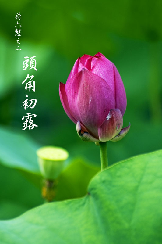 http://i.dcview.tw/gallery/201007/046eb740f3a0d8ff463a91b4696c59a3.jpg