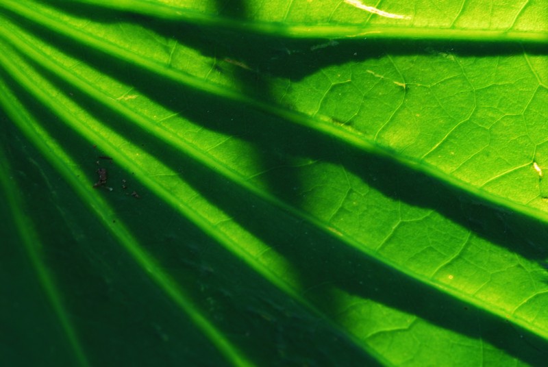 http://i.dcview.tw/gallery/201007/081689d7444235daf5eb1b51d70d91cb.jpg
