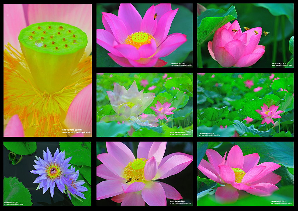 http://i.dcview.tw/gallery/201007/2f319c2f82cdae04a4f3aa248c96b784.jpg