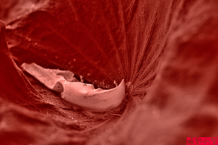 http://i.dcview.tw/gallery/201007/344a7fa43ab4247f9c6aa5d651ad0799.jpg