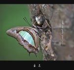 (亞飛) 好味道呀 ^O^ !!!