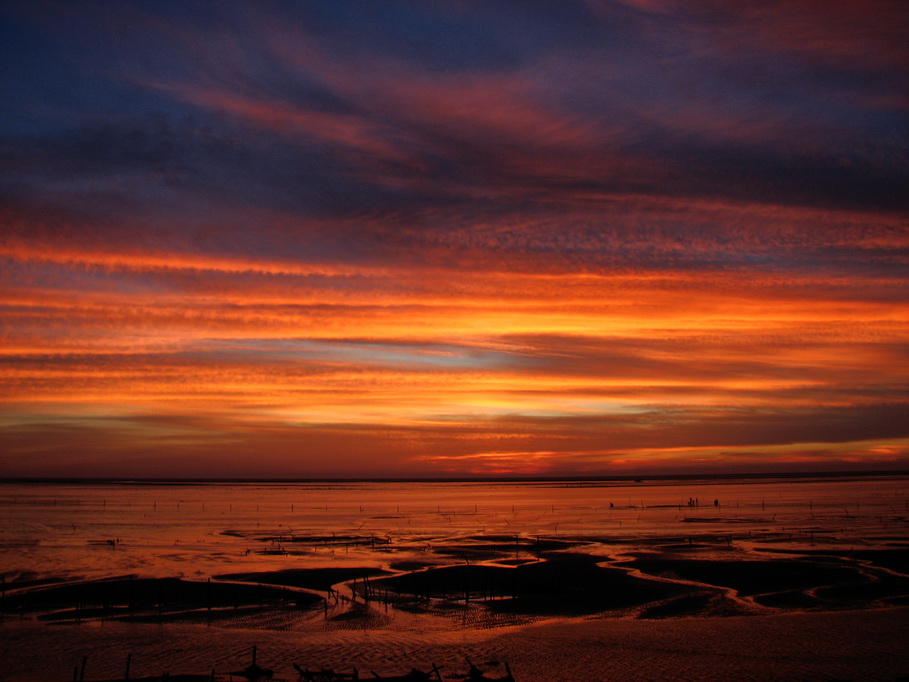 http://i.dcview.tw/gallery/201007/37e7a41e7141ac7fe20508b90c32ec51.jpg