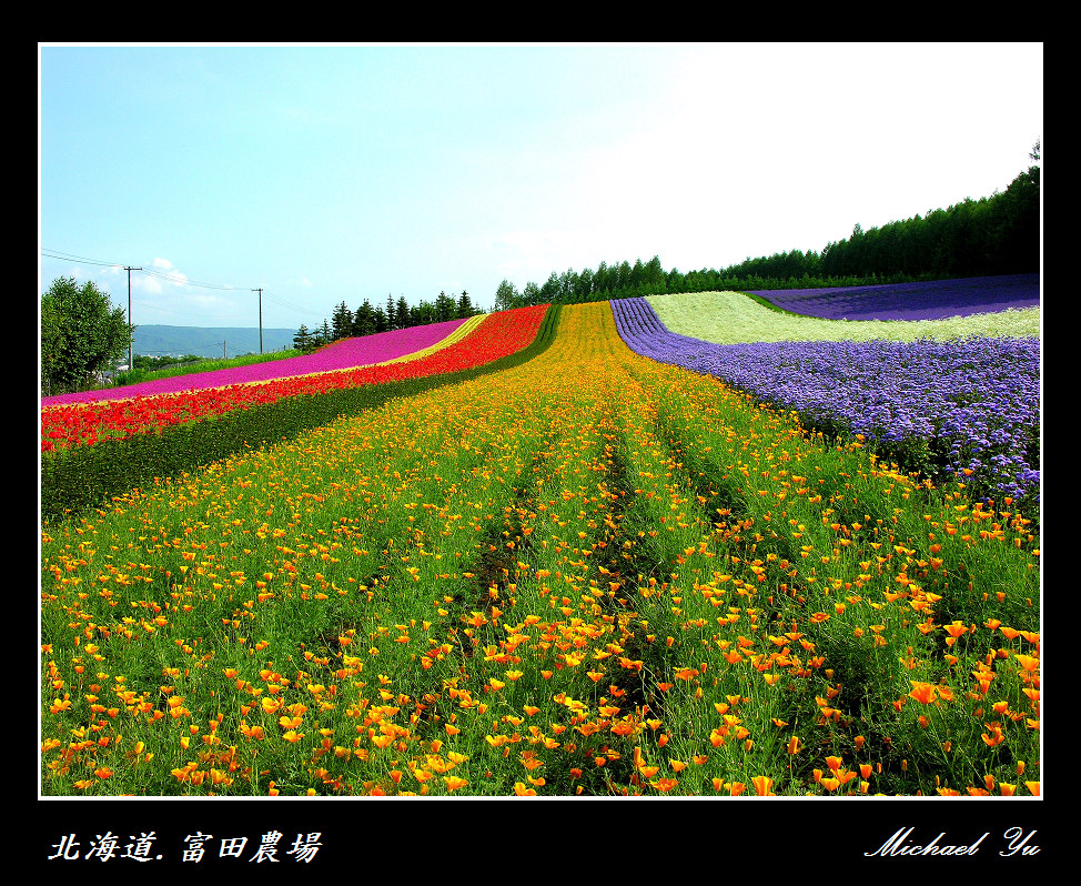 http://i.dcview.tw/gallery/201007/3b7e38ad853d0ce9df59c27c5f3af47c.jpg