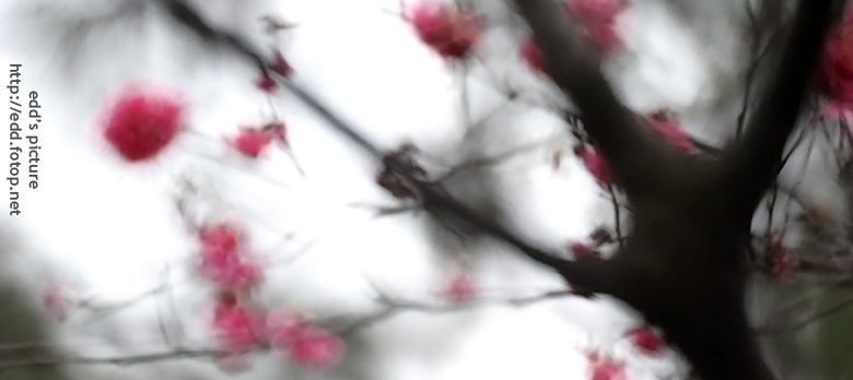http://i.dcview.tw/gallery/201007/4074b97c19a0750b70014d833dbde4d7.jpg