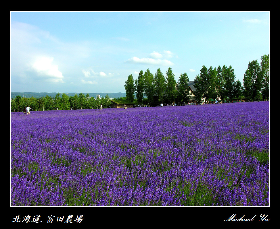 http://i.dcview.tw/gallery/201007/40d2a50f64997703259d3eb0dcc73a3b.jpg