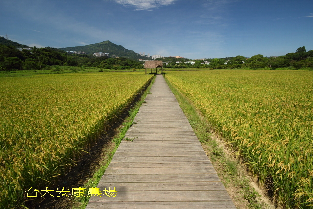 http://i.dcview.tw/gallery/201007/41a54db440fd6365db4b1fe24959f9aa.jpg