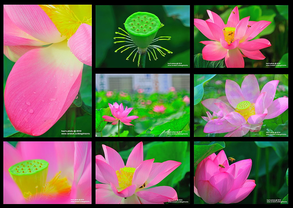 http://i.dcview.tw/gallery/201007/42d90aac588ebc9a8ce545dfbfca8280.jpg