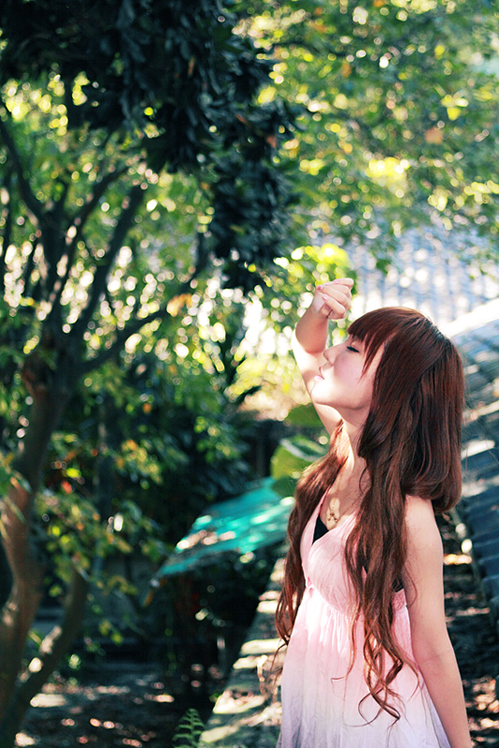 http://i.dcview.tw/gallery/201007/4d03991781e1125acb9411fc2d7955f2.jpg