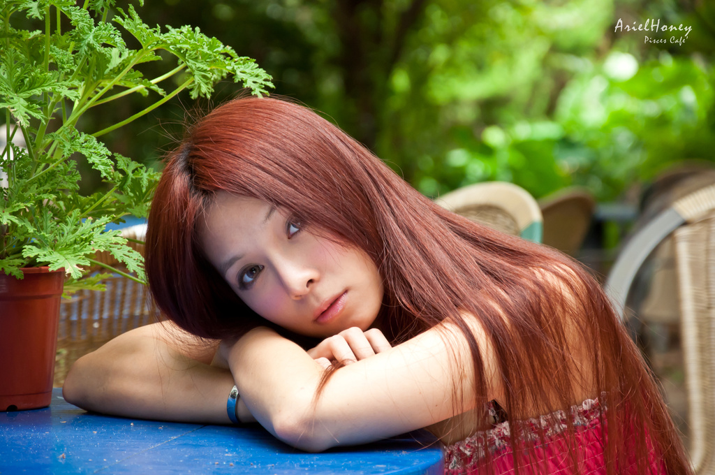 http://i.dcview.tw/gallery/201007/54d39d4f7b1e13d78d3c96af85286907.jpg