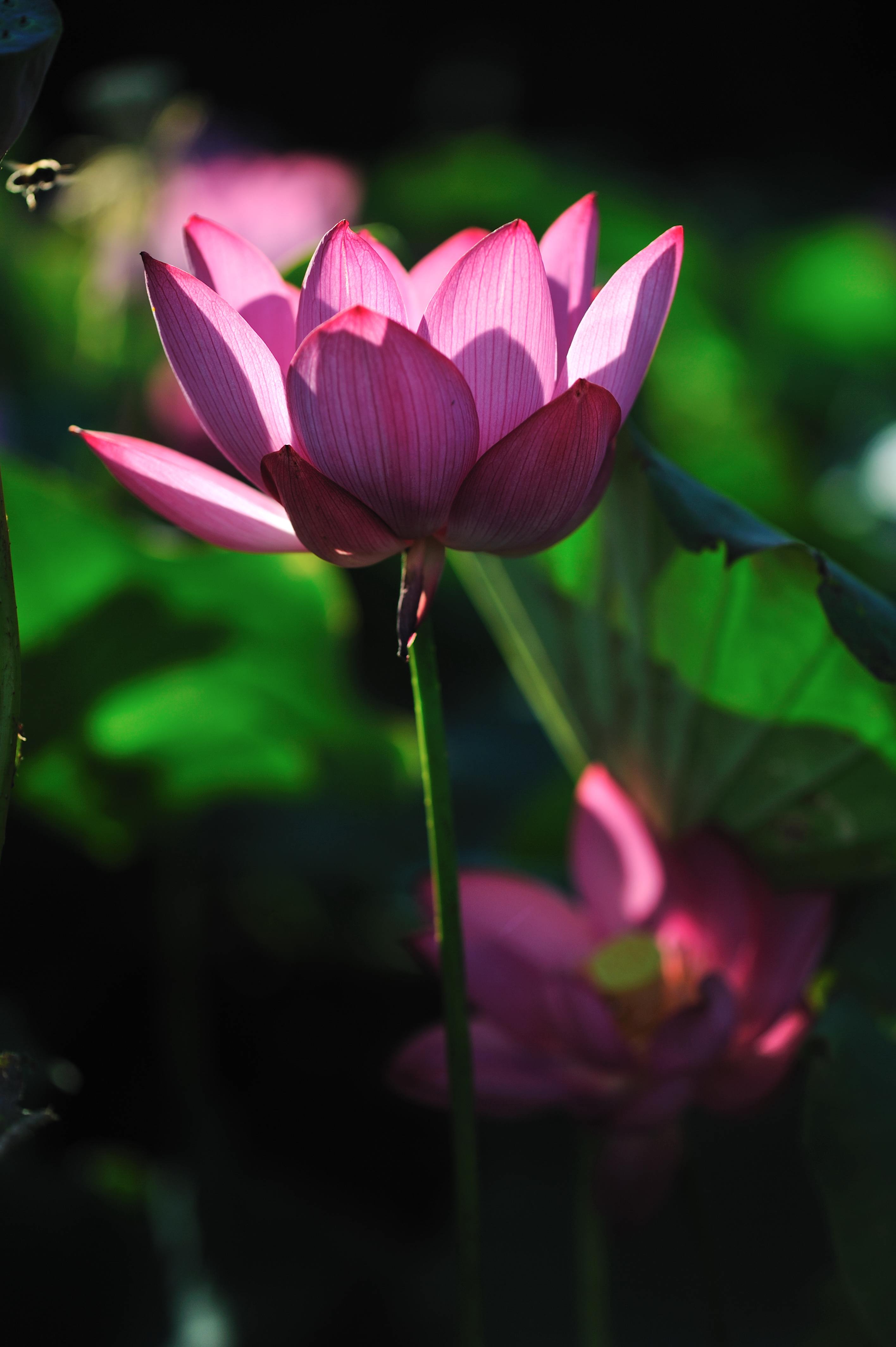 http://i.dcview.tw/gallery/201007/56bccb94bf19c174062783c240555f1e.jpg
