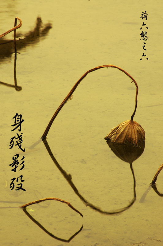 http://i.dcview.tw/gallery/201007/57e5cb16ed69a6fdd8ddf8baf94d7054.jpg