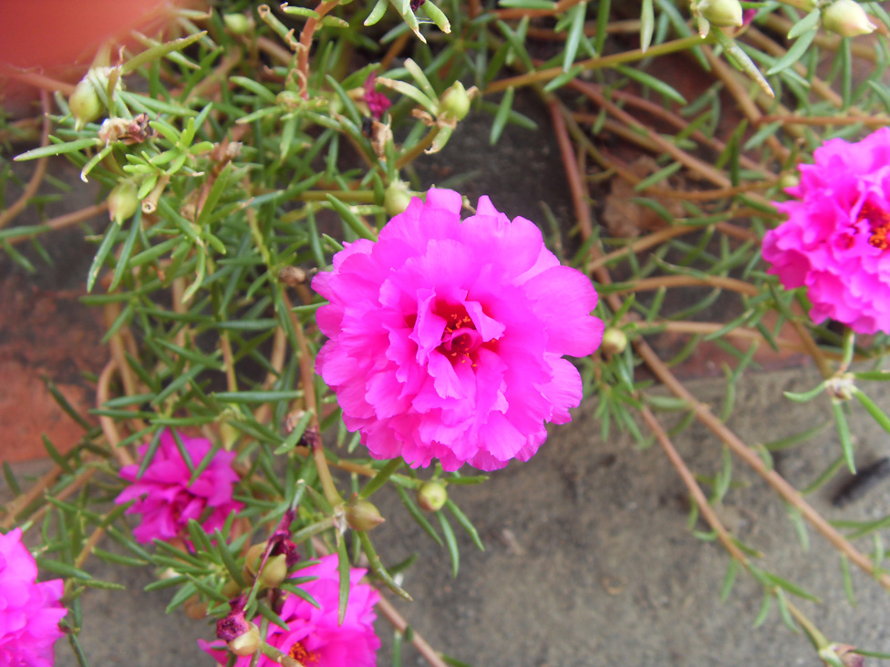 http://i.dcview.tw/gallery/201007/616380abb5aec0d6655584c5a7913f6b.jpg