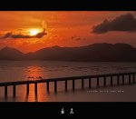 (亞飛) 西 橋 的黄 昏