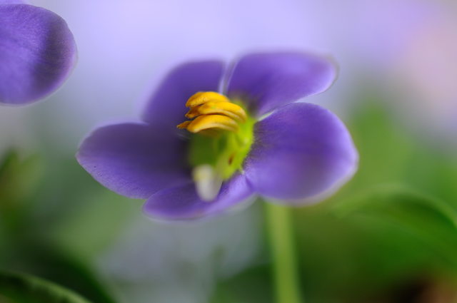 http://i.dcview.tw/gallery/201007/66d4cd1cd091d9b2202b729ee9513300.jpg
